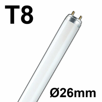 Bürobeleuchtung T8 Leuchtstoffröhre
