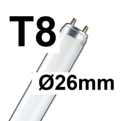 Bürolampe T8 Leuchtstoffröhre