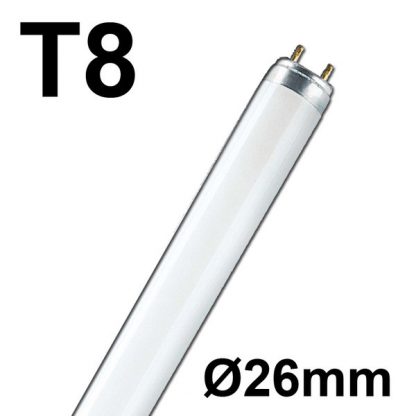 Rasterlampen T8 Röhren